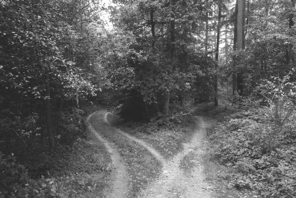 Fork in road